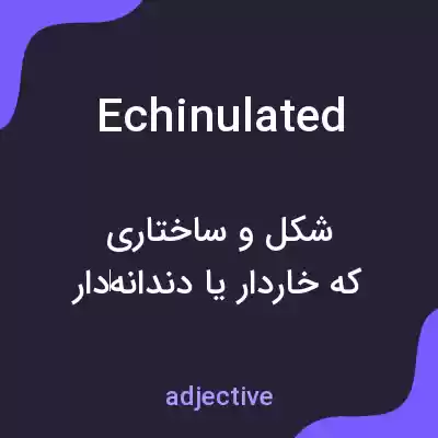 معنی echinulated به فارسی