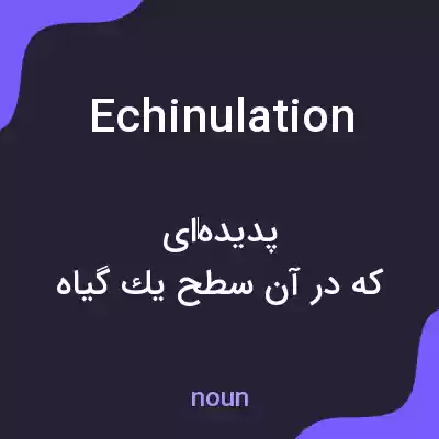 معنی echinulation به فارسی