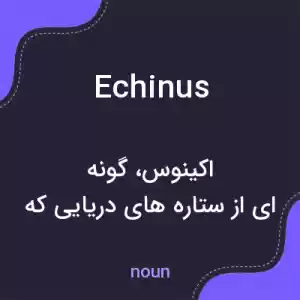 معنی echinus به فارسی معنی echinus به فارسی