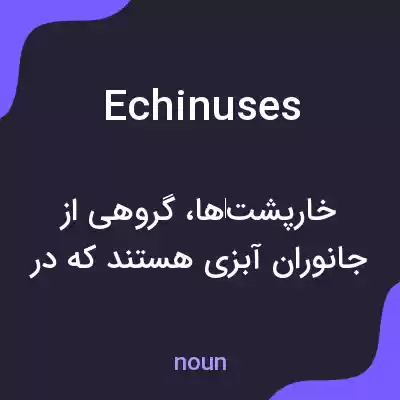 معنی echinuses به فارسی معنی echinuses به فارسی