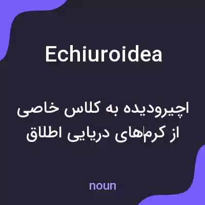 معنی echiuroidea به فارسی معنی echiuroidea به فارسی