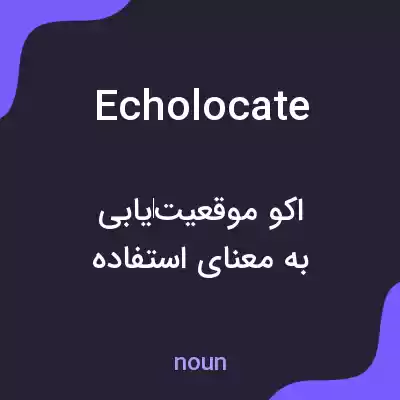 معنی echolocate به فارسی معنی echolocate به فارسی