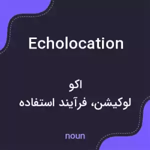 معنی echolocation به فارسی معنی echolocation به فارسی