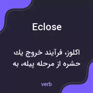 معنی eclose به فارسی معنی eclose به فارسی