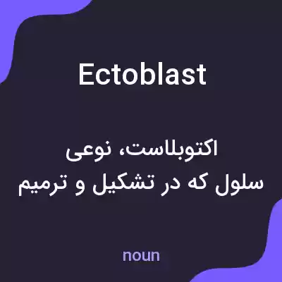 معنی ectoblast به فارسی معنی ectoblast به فارسی