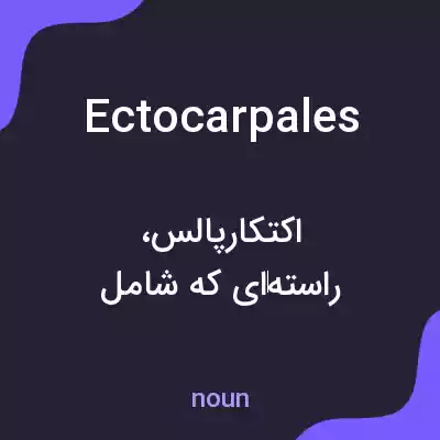 معنی ectocarpales به فارسی معنی ectocarpales به فارسی
