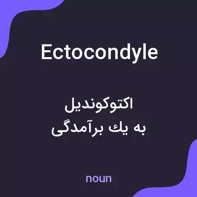 معنی ectocondyle به فارسی معنی ectocondyle به فارسی