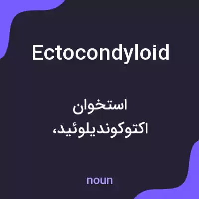 معنی ectocondyloid به فارسی
