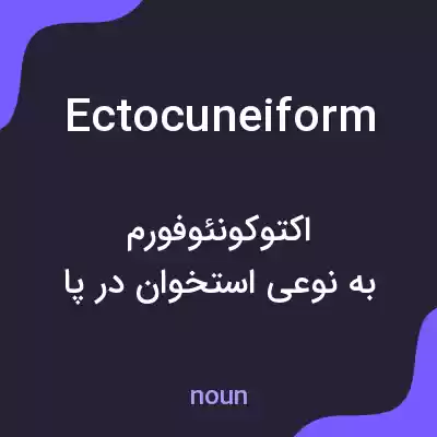 معنی ectocuneiform به فارسی معنی ectocuneiform به فارسی