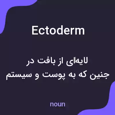 معنی ectoderm به فارسی معنی ectoderm به فارسی