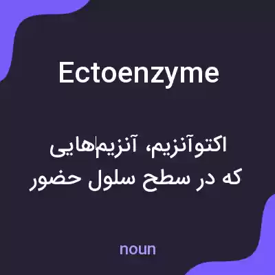 معنی ectoenzyme به فارسی معنی ectoenzyme به فارسی