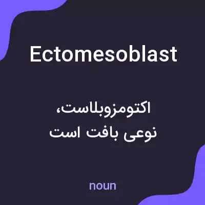 معنی ectomesoblast به فارسی معنی ectomesoblast به فارسی