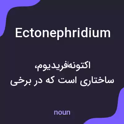 معنی ectonephridium به فارسی معنی ectonephridium به فارسی