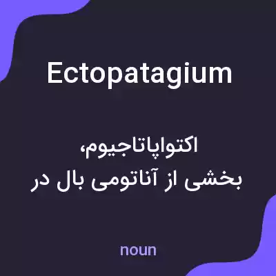 معنی ectopatagium به فارسی معنی ectopatagium به فارسی