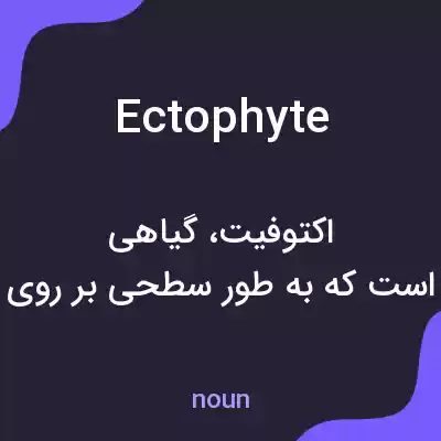 معنی ectophyte به فارسی معنی ectophyte به فارسی