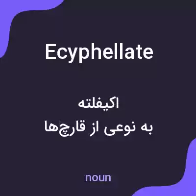 معنی ecyphellate به فارسی معنی ecyphellate به فارسی