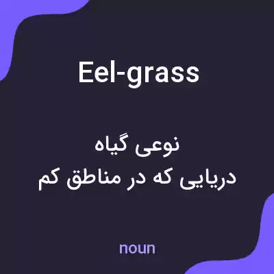 معنی eel-grass به فارسی معنی eel-grass به فارسی