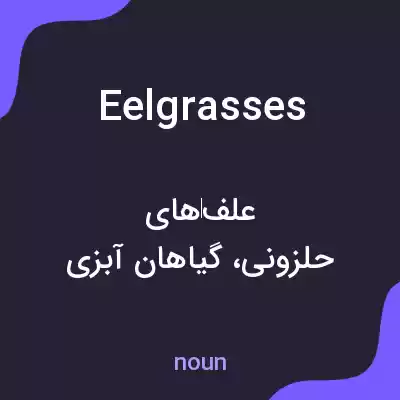 معنی eelgrasses به فارسی معنی eelgrasses به فارسی