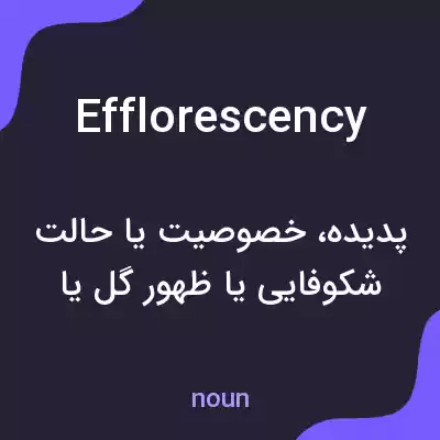 معنی efflorescency به فارسی معنی efflorescency به فارسی