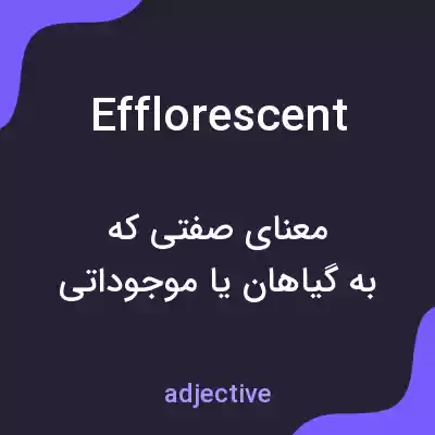 معنی efflorescent به فارسی معنی efflorescent به فارسی