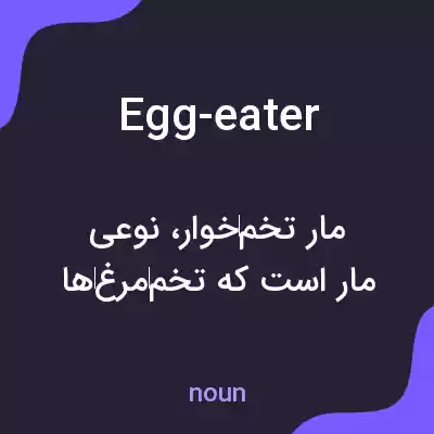معنی egg-eater به فارسی معنی egg-eater به فارسی