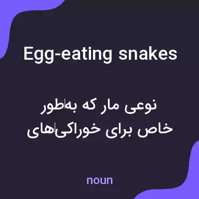 معنی egg-eating snakes به فارسی معنی egg-eating snakes به فارسی