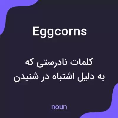 معنی eggcorns به فارسی معنی eggcorns به فارسی