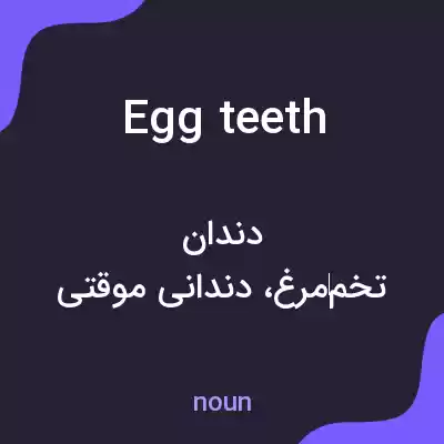 معنی egg teeth به فارسی معنی egg teeth به فارسی