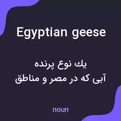 معنی egyptian geese به فارسی معنی egyptian geese به فارسی