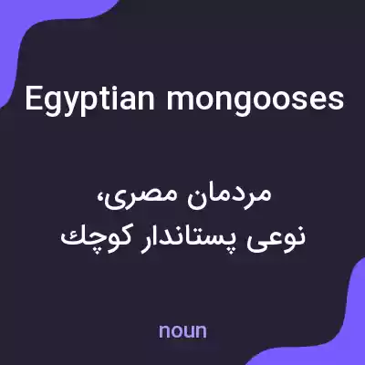 معنی egyptian mongooses به فارسی معنی egyptian mongooses به فارسی