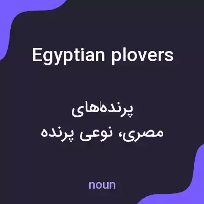 معنی egyptian plovers به فارسی معنی egyptian plovers به فارسی