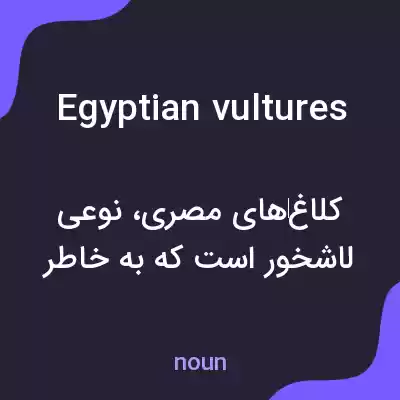 معنی egyptian vultures به فارسی معنی egyptian vultures به فارسی
