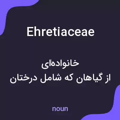 معنی ehretiaceae به فارسی معنی ehretiaceae به فارسی