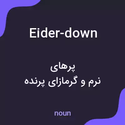 معنی eider-down به فارسی