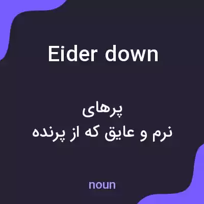 معنی eider down به فارسی معنی eider down به فارسی