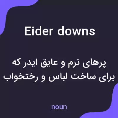 معنی eider downs به فارسی معنی eider downs به فارسی