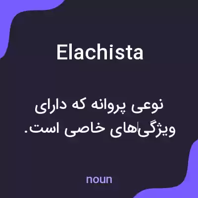 معنی elachista به فارسی معنی elachista به فارسی