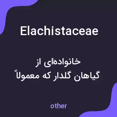 معنی elachistaceae به فارسی معنی elachistaceae به فارسی
