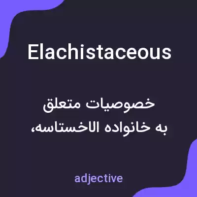 معنی elachistaceous به فارسی معنی elachistaceous به فارسی