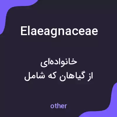 معنی elaeagnaceae به فارسی معنی elaeagnaceae به فارسی