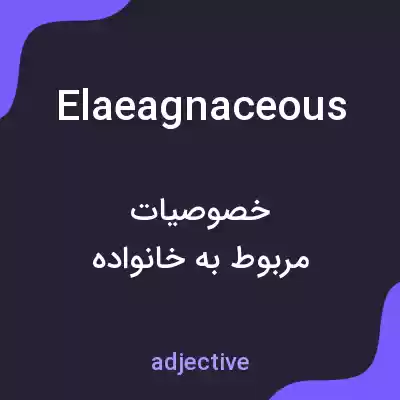 معنی elaeagnaceous به فارسی معنی elaeagnaceous به فارسی