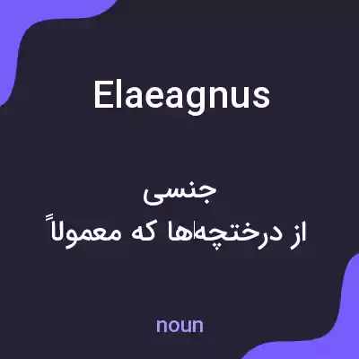 معنی elaeagnus به فارسی معنی elaeagnus به فارسی