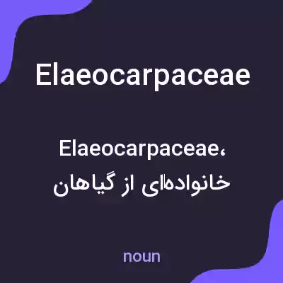 معنی elaeocarpaceae به فارسی معنی elaeocarpaceae به فارسی