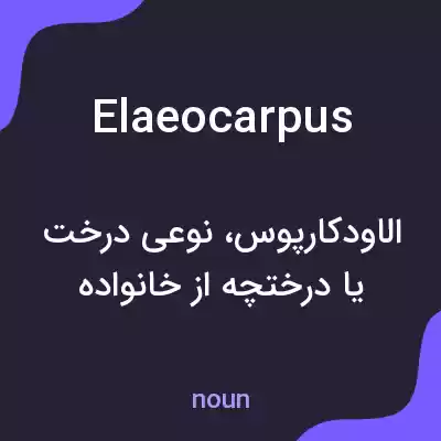 معنی elaeocarpus به فارسی معنی elaeocarpus به فارسی