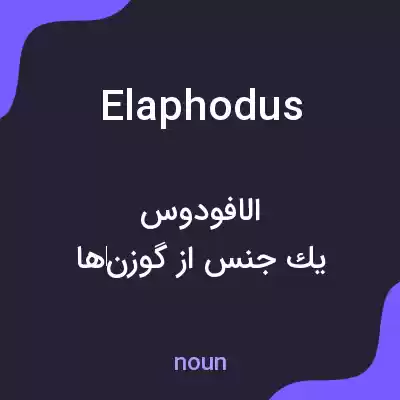 معنی elaphodus به فارسی معنی elaphodus به فارسی