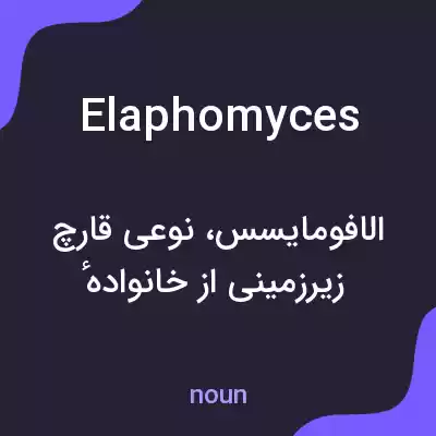 معنی elaphomyces به فارسی معنی elaphomyces به فارسی