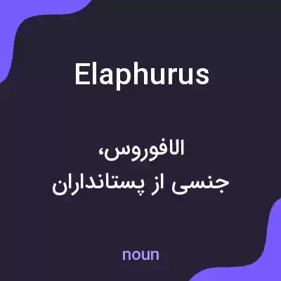 معنی elaphurus به فارسی معنی elaphurus به فارسی
