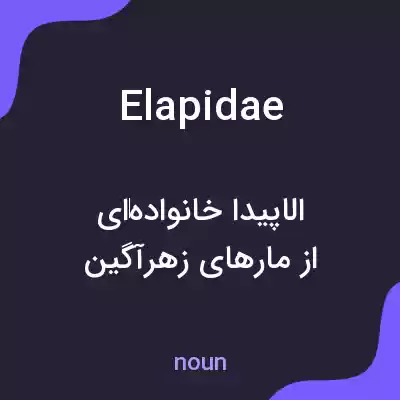 معنی elapidae به فارسی معنی elapidae به فارسی