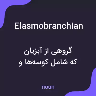معنی elasmobranchian به فارسی معنی elasmobranchian به فارسی