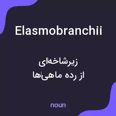 معنی elasmobranchii به فارسی معنی elasmobranchii به فارسی